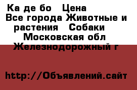 Ка де бо › Цена ­ 25 000 - Все города Животные и растения » Собаки   . Московская обл.,Железнодорожный г.